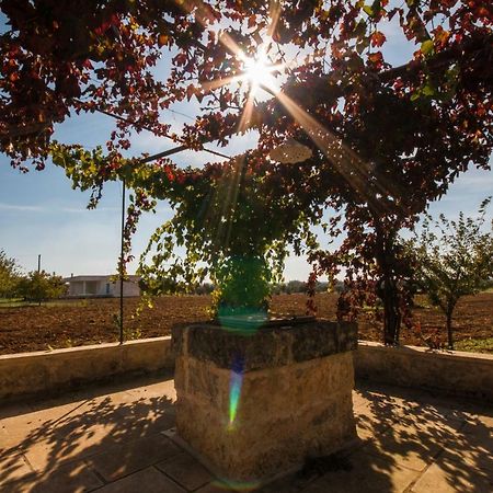 Tenuta Terraluna Cutrofiano Esterno foto